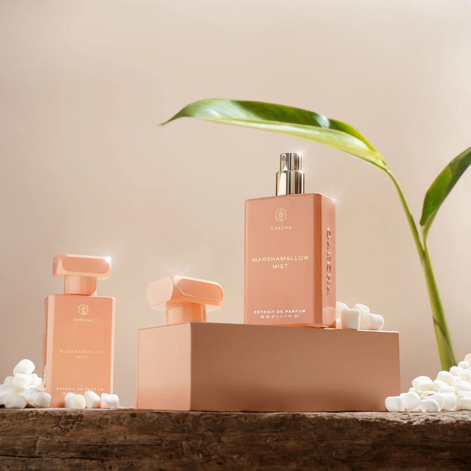 Oakcha Extrait De Parfum 50ml  – Perfume New Fragrance recenzja i cena
